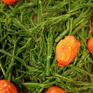 Tender samphire with tomatoes