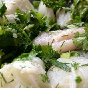 Fresh fish with herbs about to go into the oven